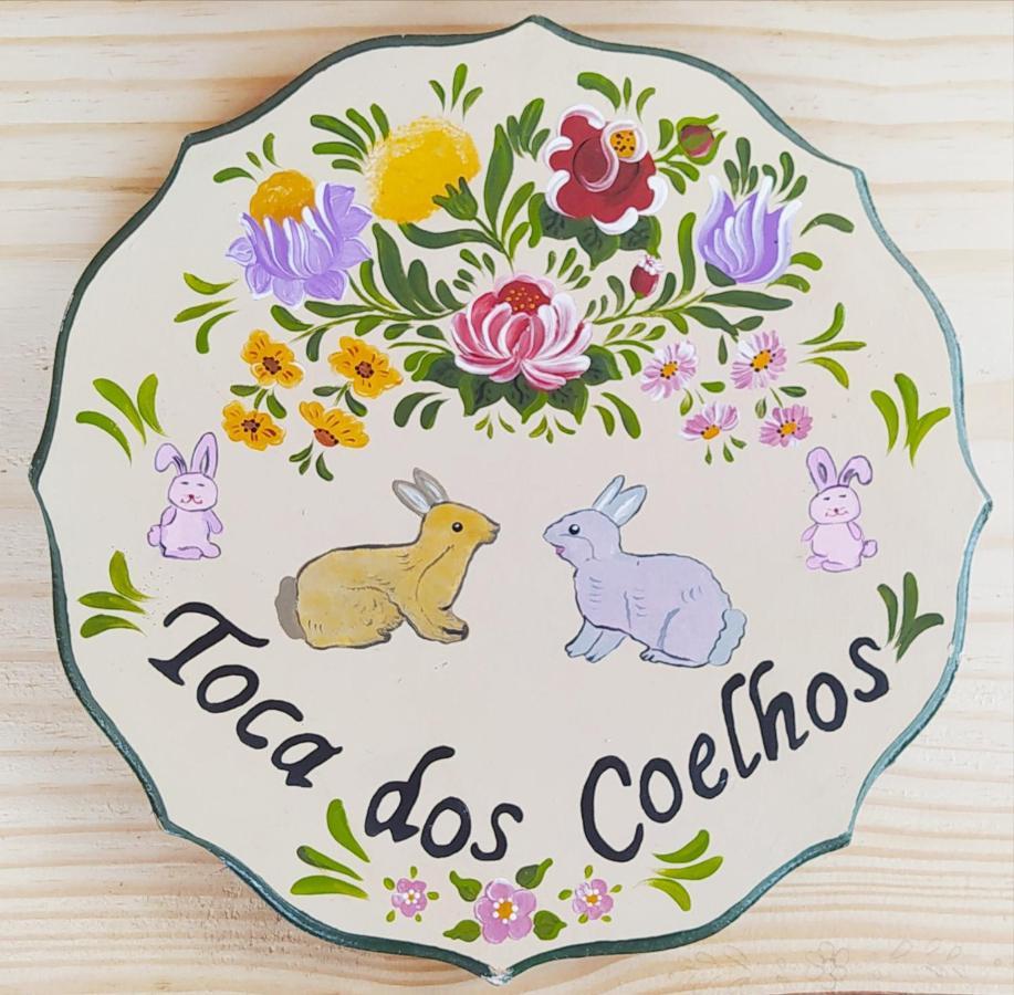 Pousada Toca Dos Coelhos Carrancas カランカス エクステリア 写真