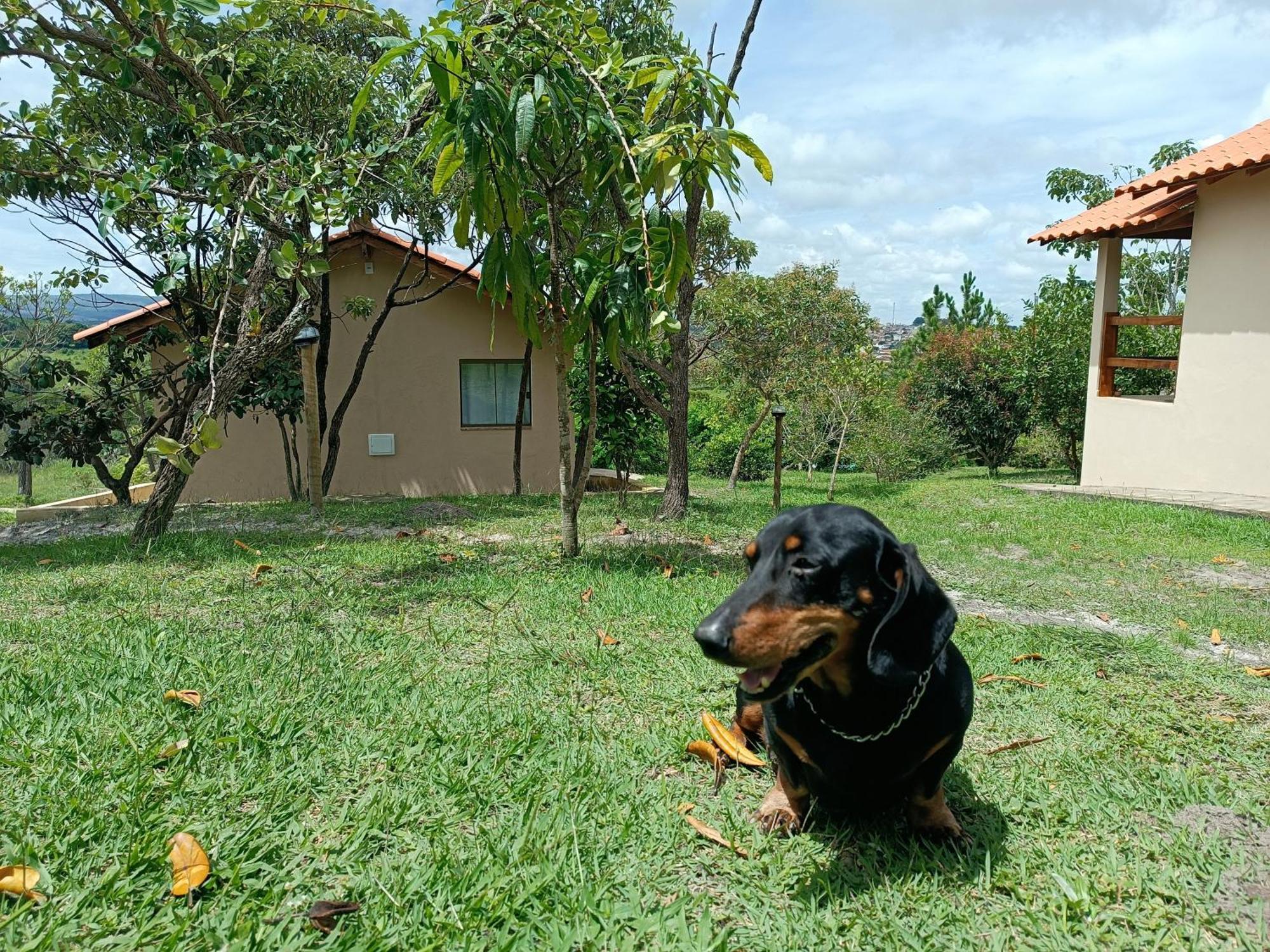 Pousada Toca Dos Coelhos Carrancas カランカス エクステリア 写真